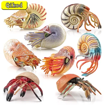 Simulação de Animais Marinhos Modelo de Eremita, Nautilus Tanque de Peixes Ornamentos Estatuetas de Figuras de Ação de Educação infantil Brinquedo de Presente
